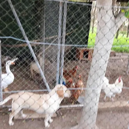 Charming House In + Jacuzzi *