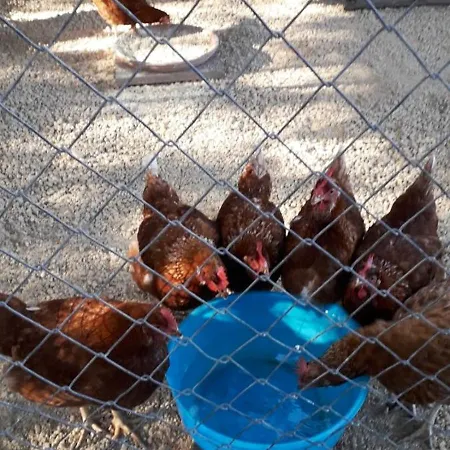 Charming House In + Jacuzzi * Siggiewi