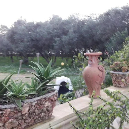 Charming House In + Jacuzzi * Siggiewi