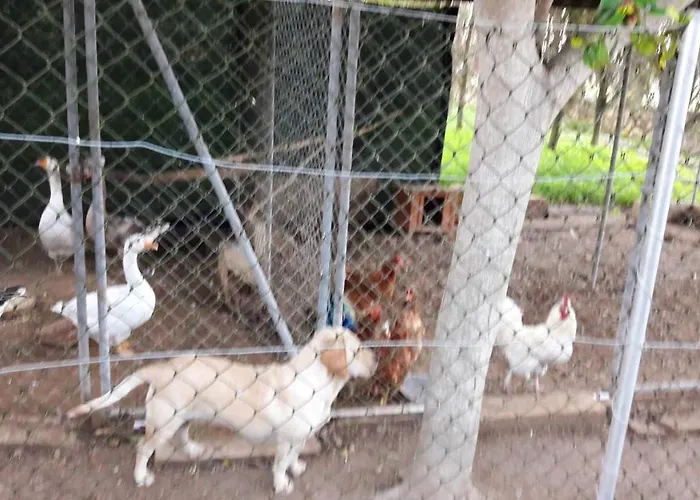 Charming House In + Jacuzzi *