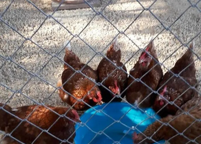 Charming House In + Jacuzzi * Siggiewi